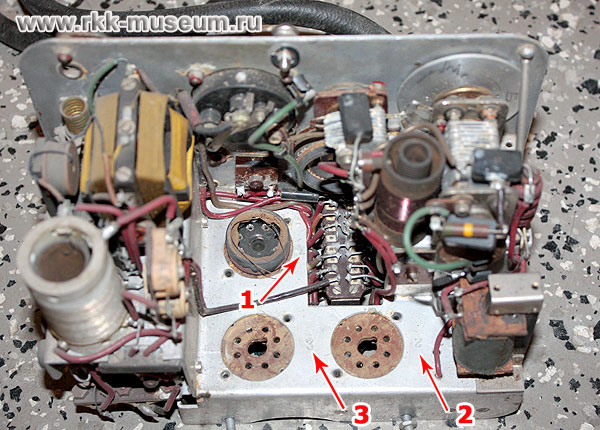 sevc1.jpg