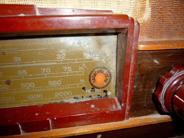 010.JPG