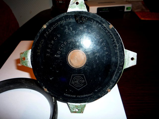 P1050683.JPG