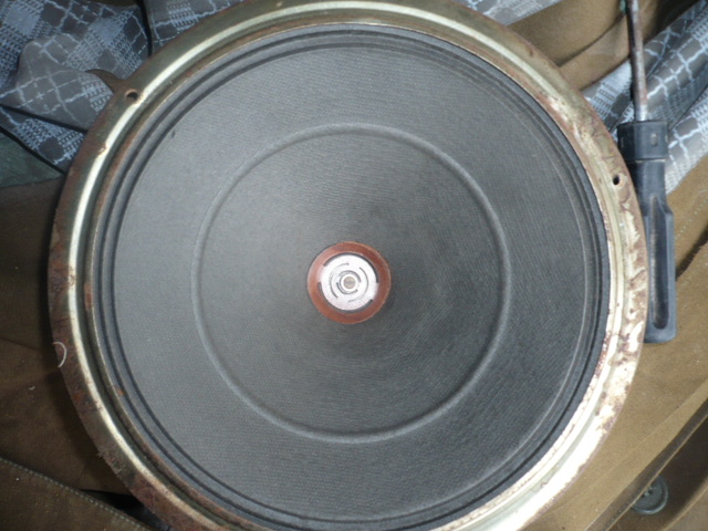 P1060418.JPG
