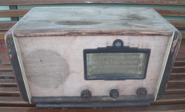 IMGP1556 (800x485).jpg